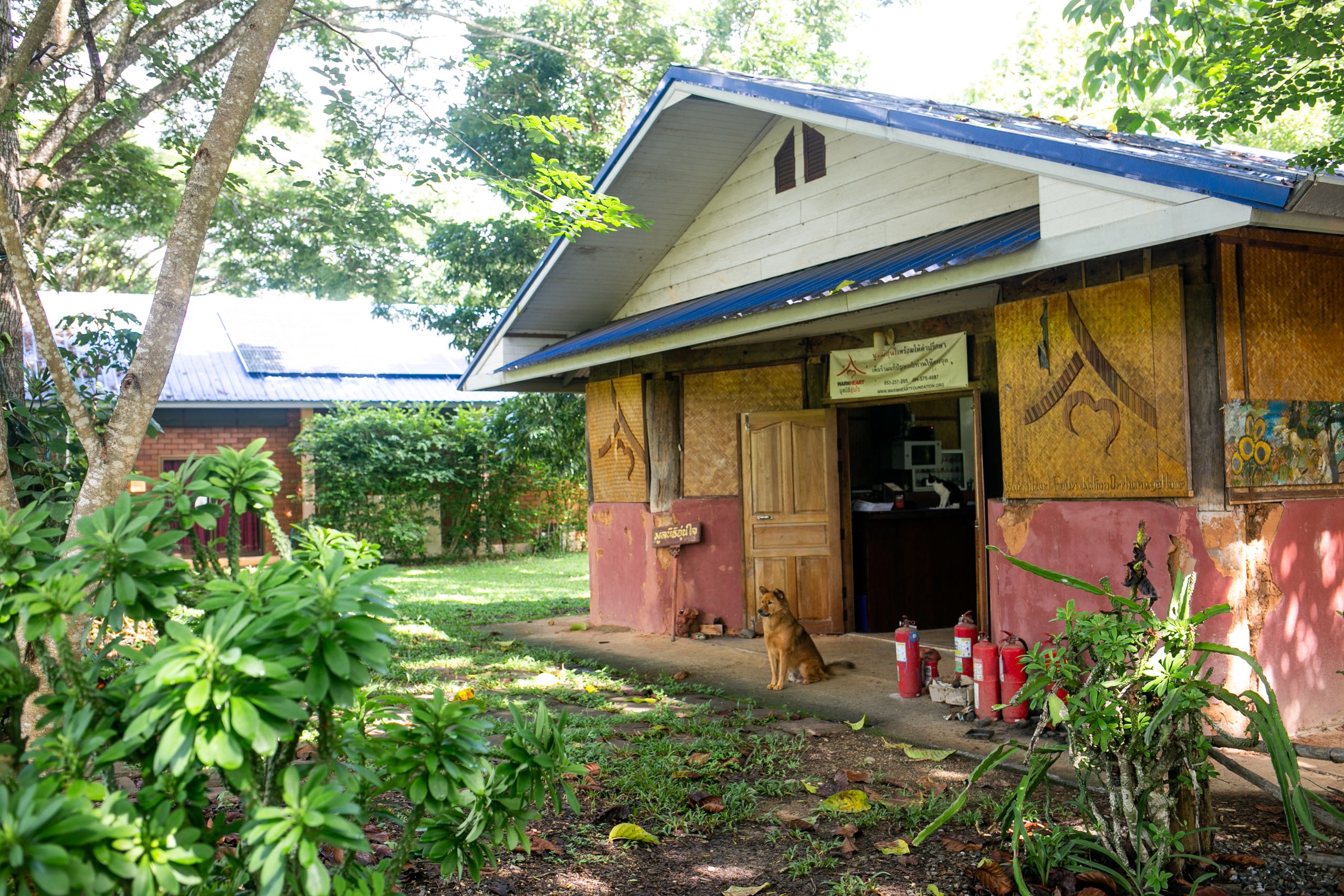 A landscape photo of the Warm Heart administrative building