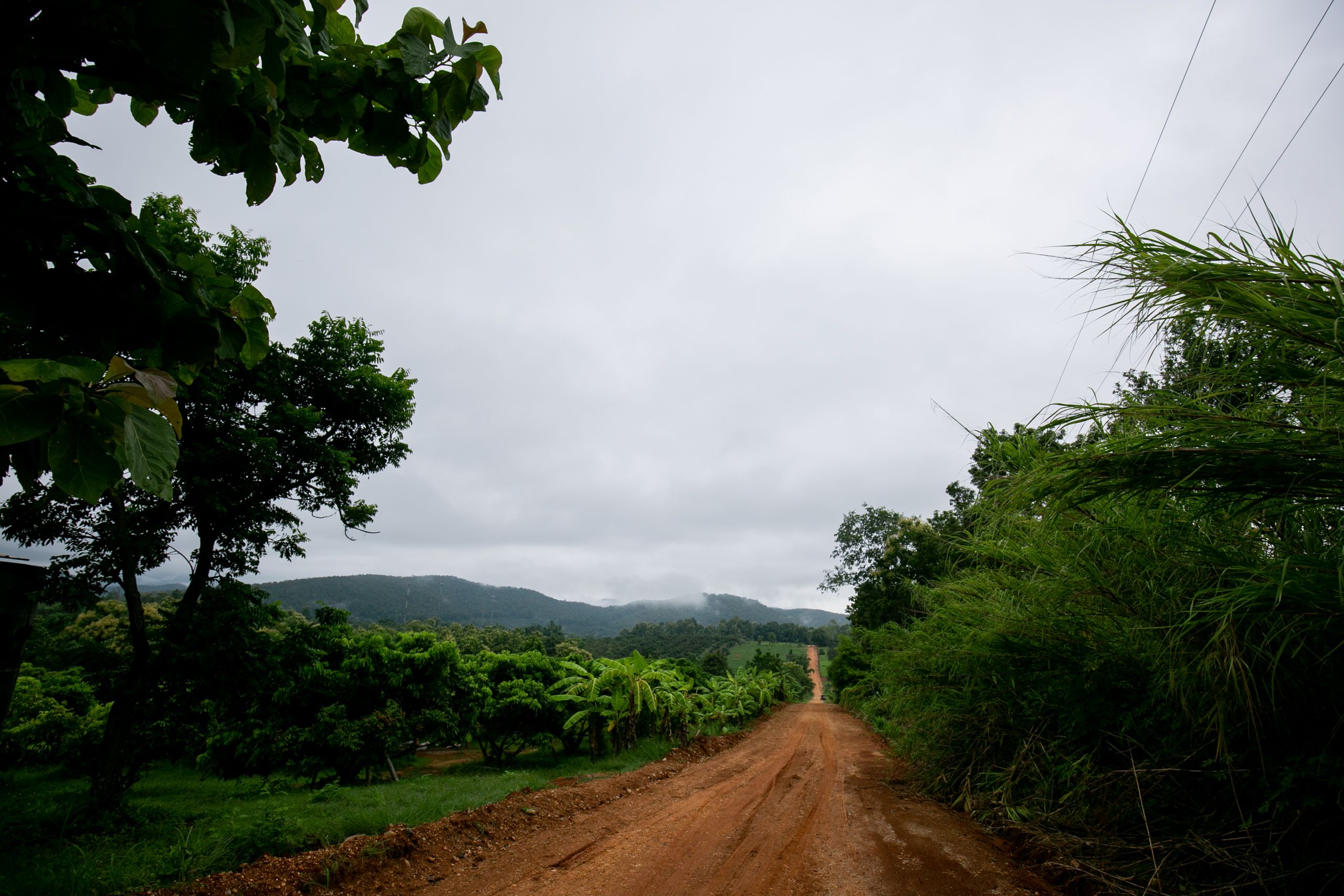 A view of the dirt road and farmland behind the Warm Heart campus